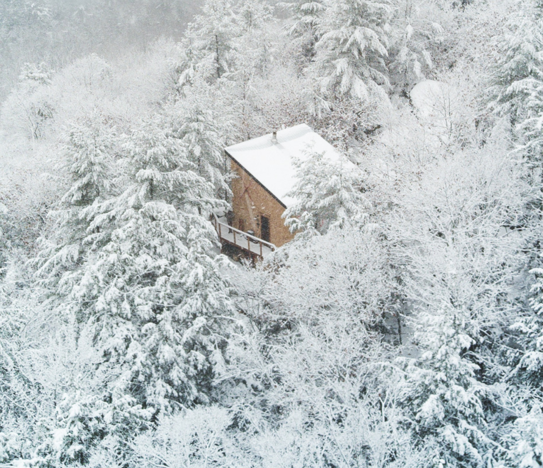 Cabin Inspiration
