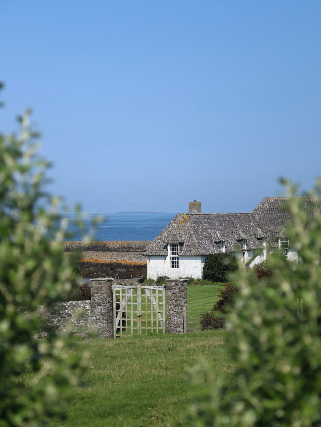 Design Inspiration from Irish Homes: A Journey Through Cozy Elegance