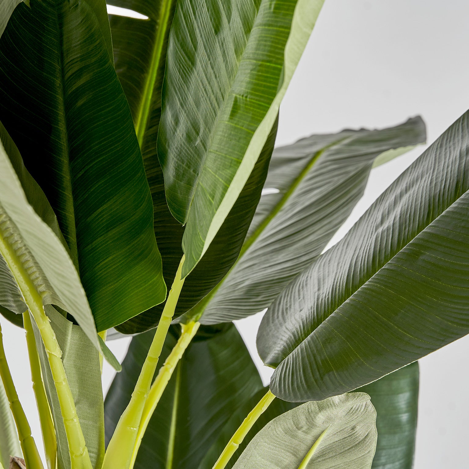 Bananero Shabby Chic Artificial Plant - Green Banana Tree