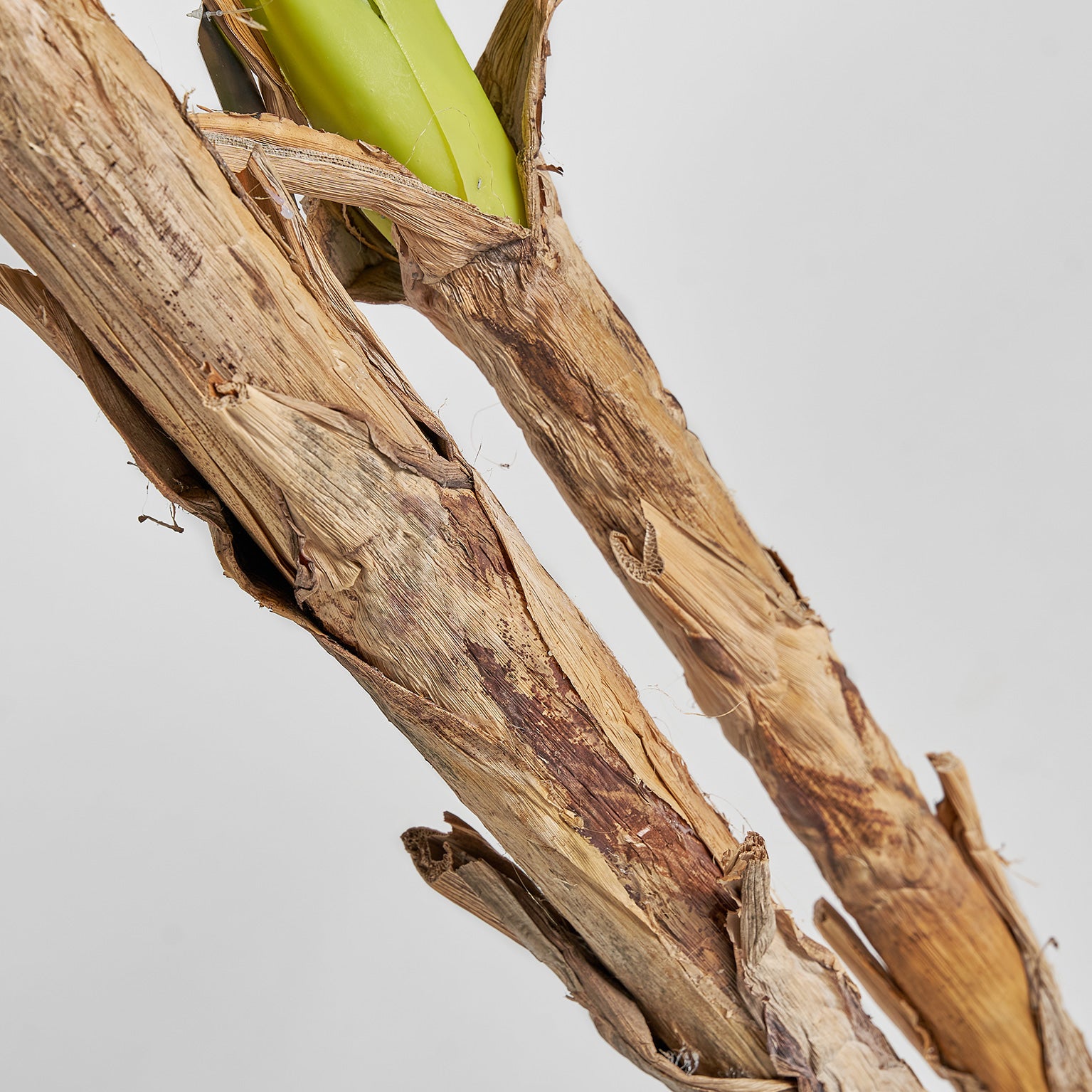 Bananero Shabby Chic Artificial Plant - Green Banana Tree