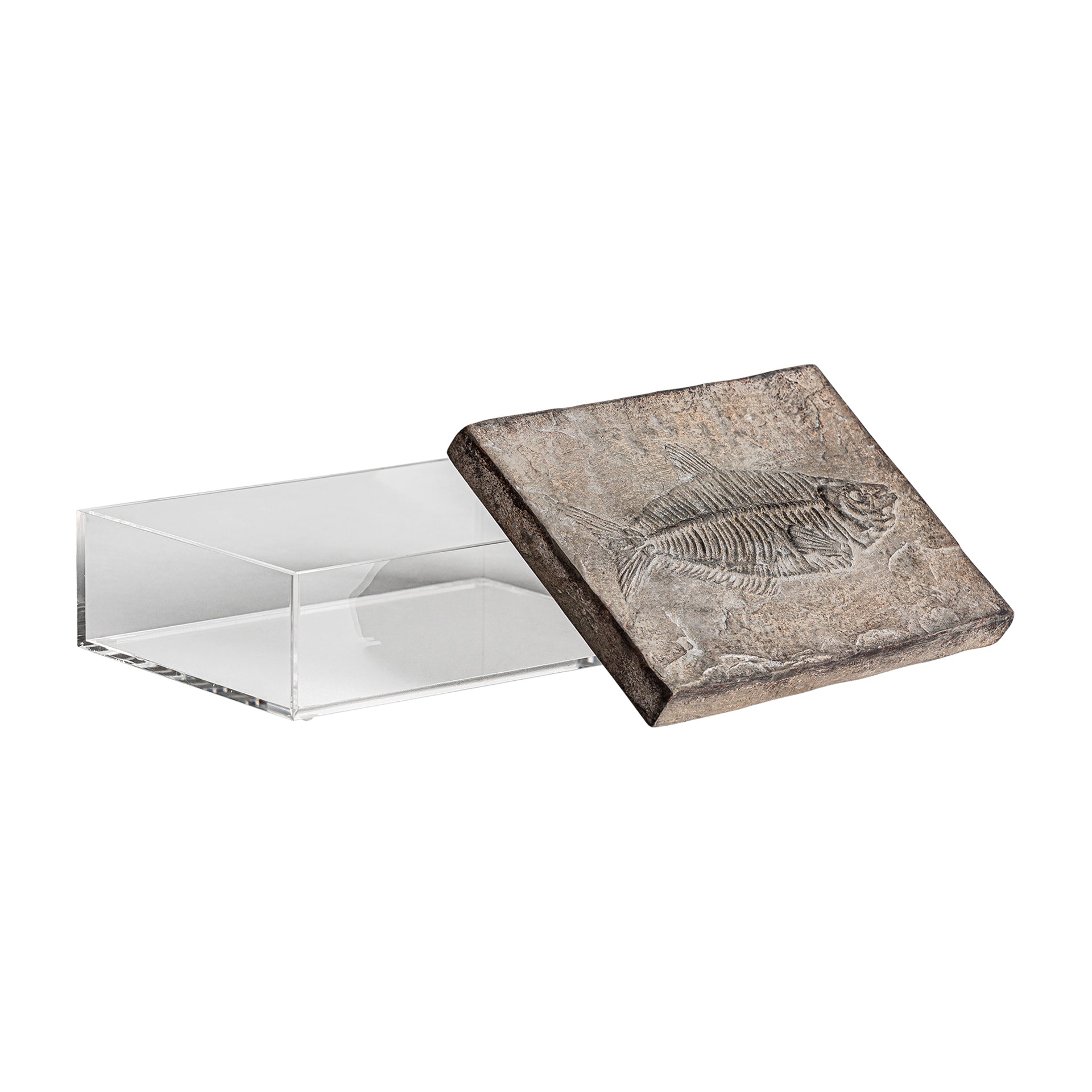 Vintage Rectangular Box - Light Brown Resin with Acrylic