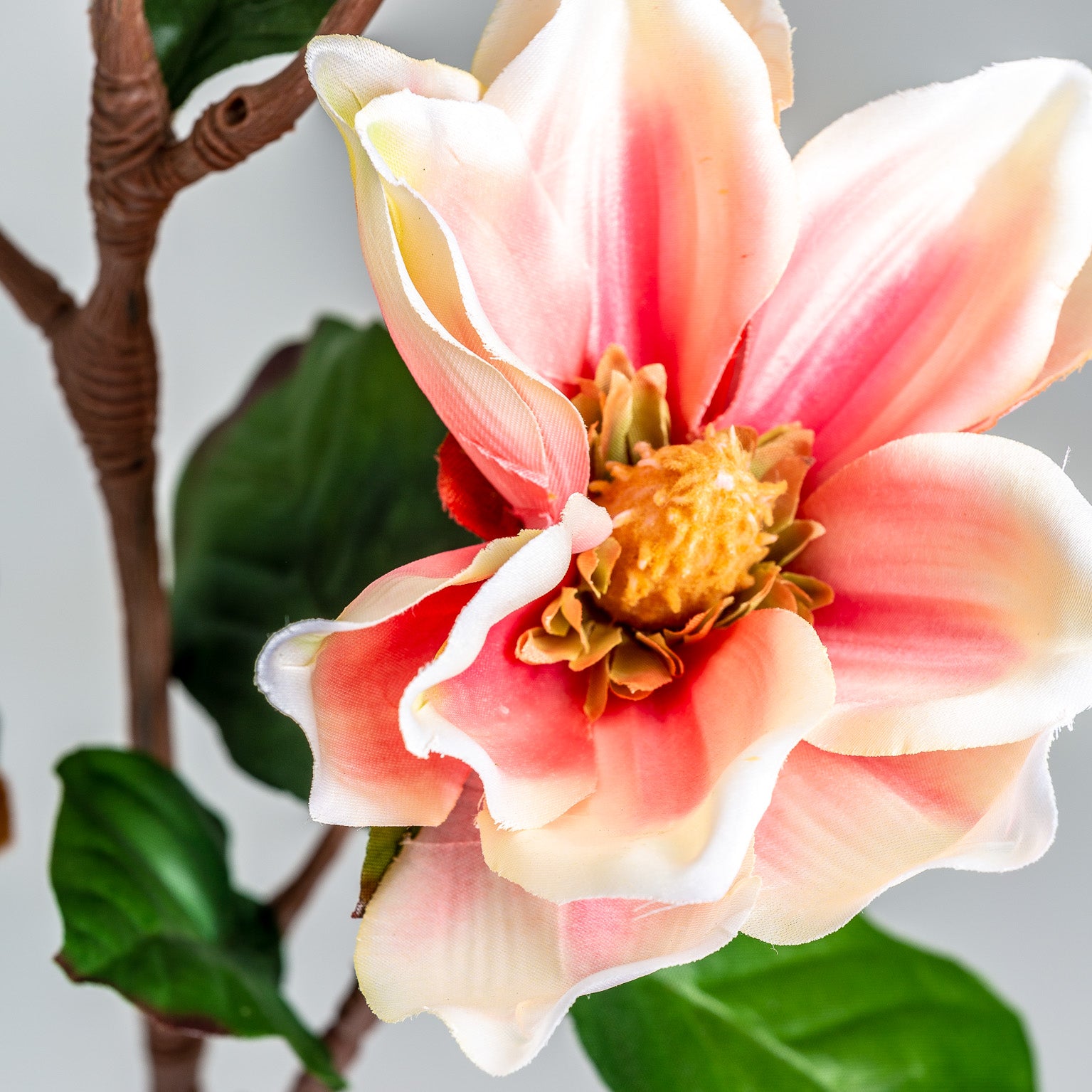 YULAN FLOWER