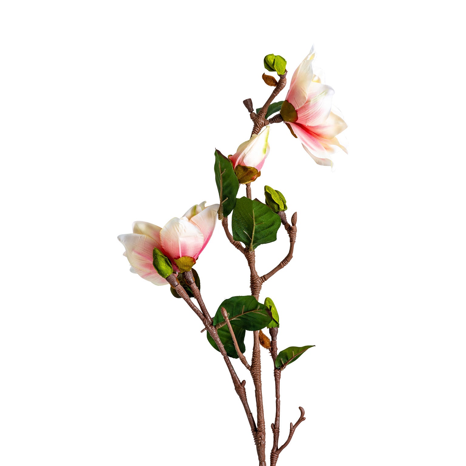 YULAN FLOWER