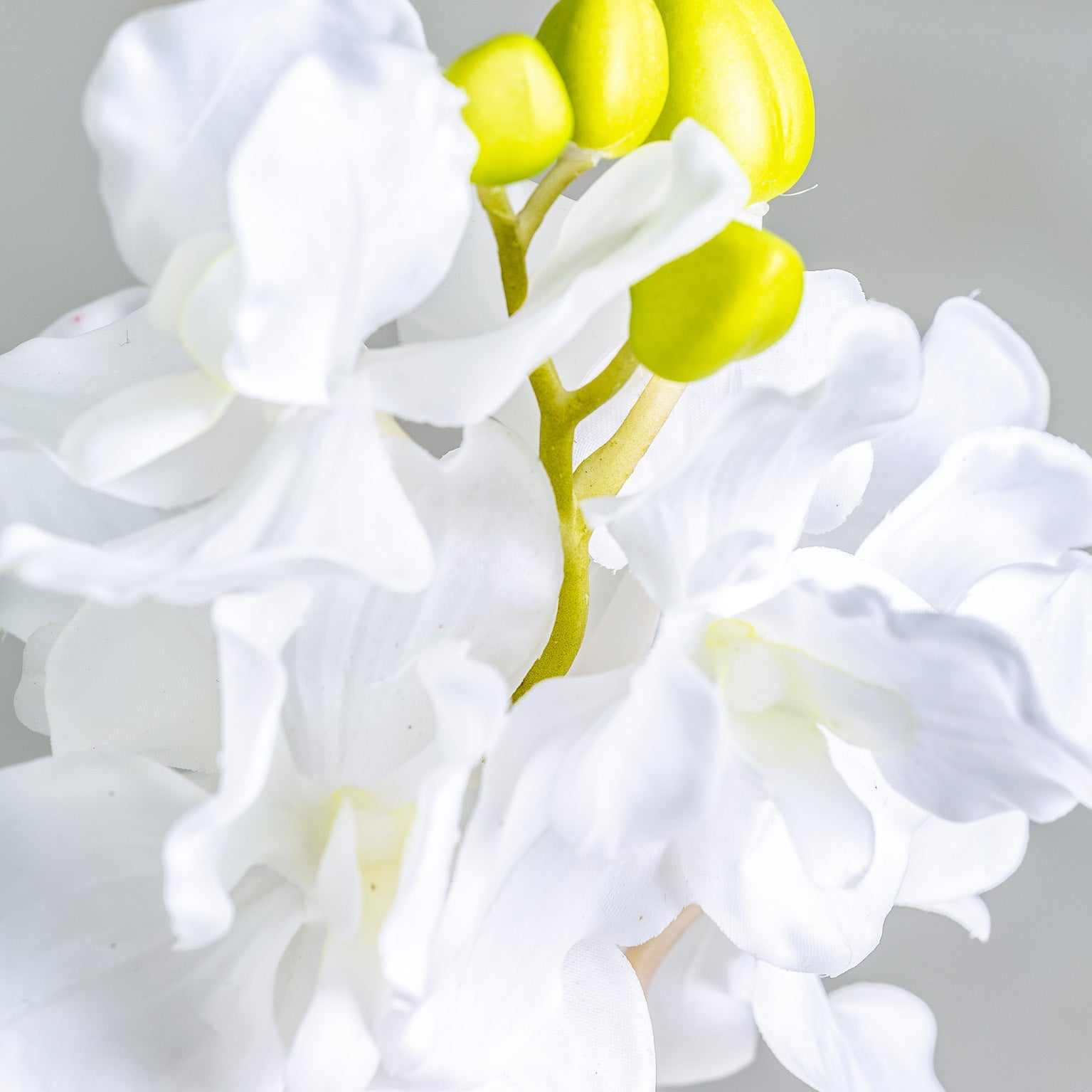 AZAHAR FLOWER