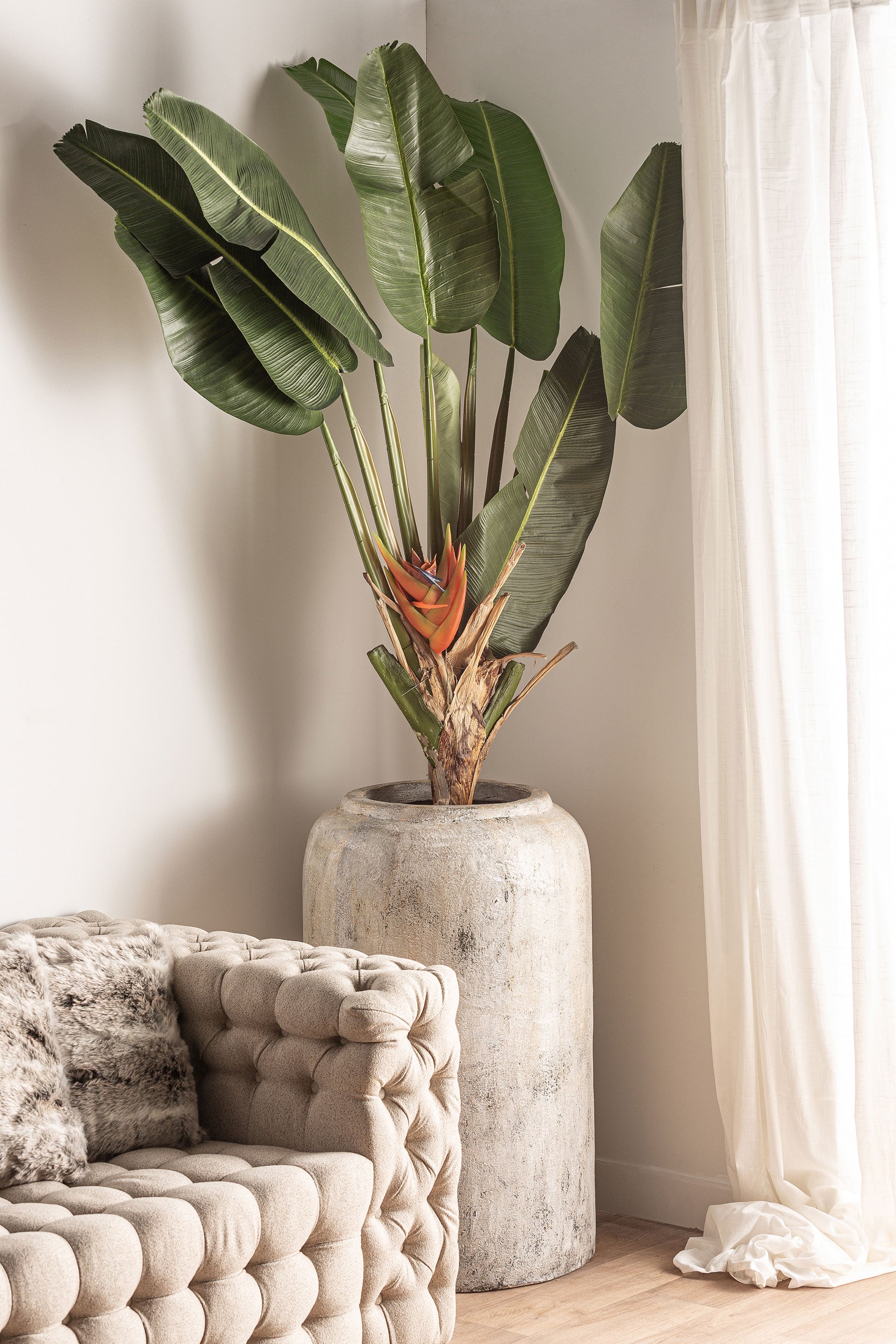 MOON PLANT POT