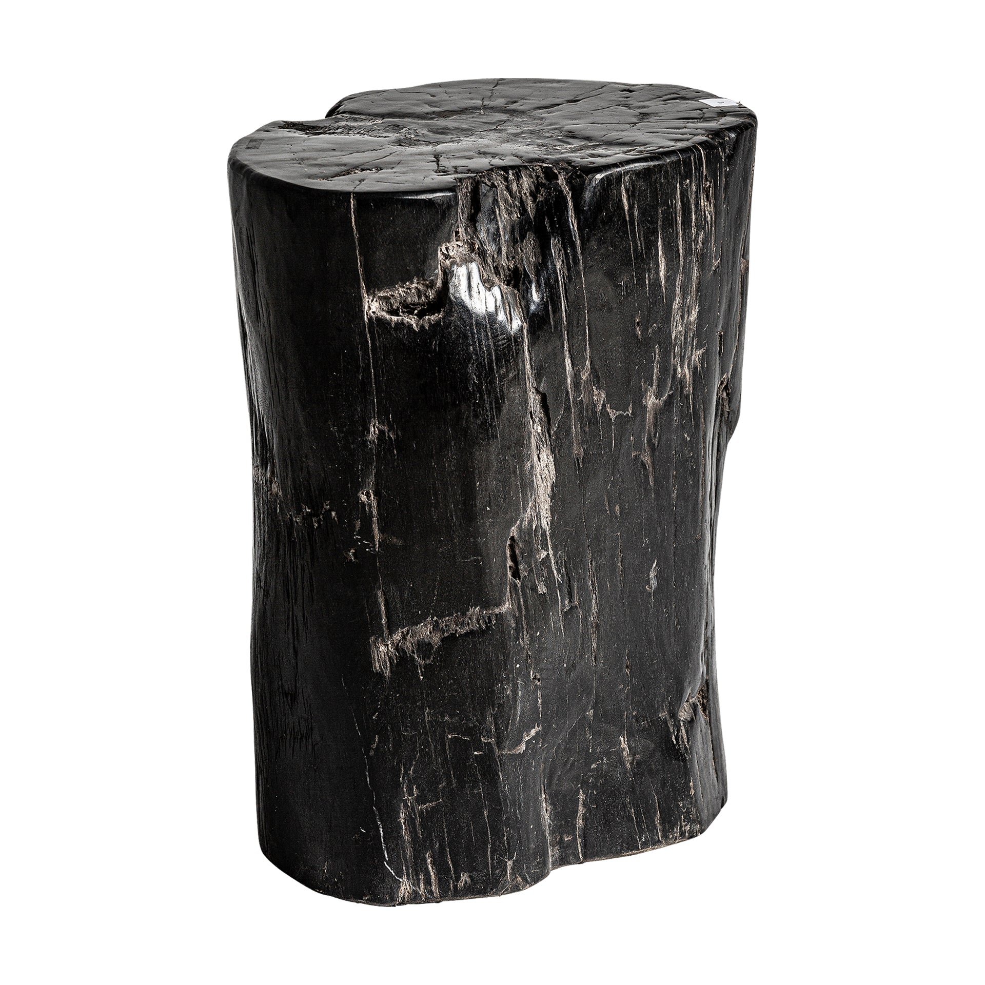 Telti Ethnic Side Table - Brown Petrified Wood Distressed