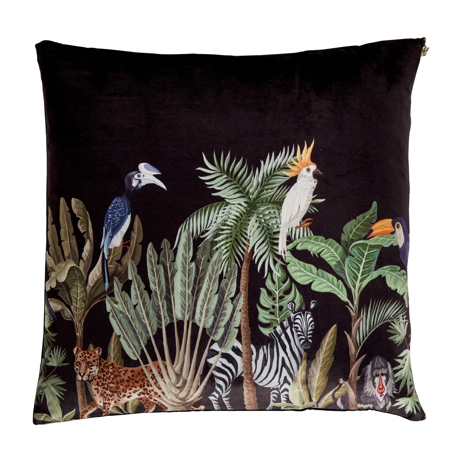 Aldora Square Velvet Cushion - Black Provençal Style Removable Cover