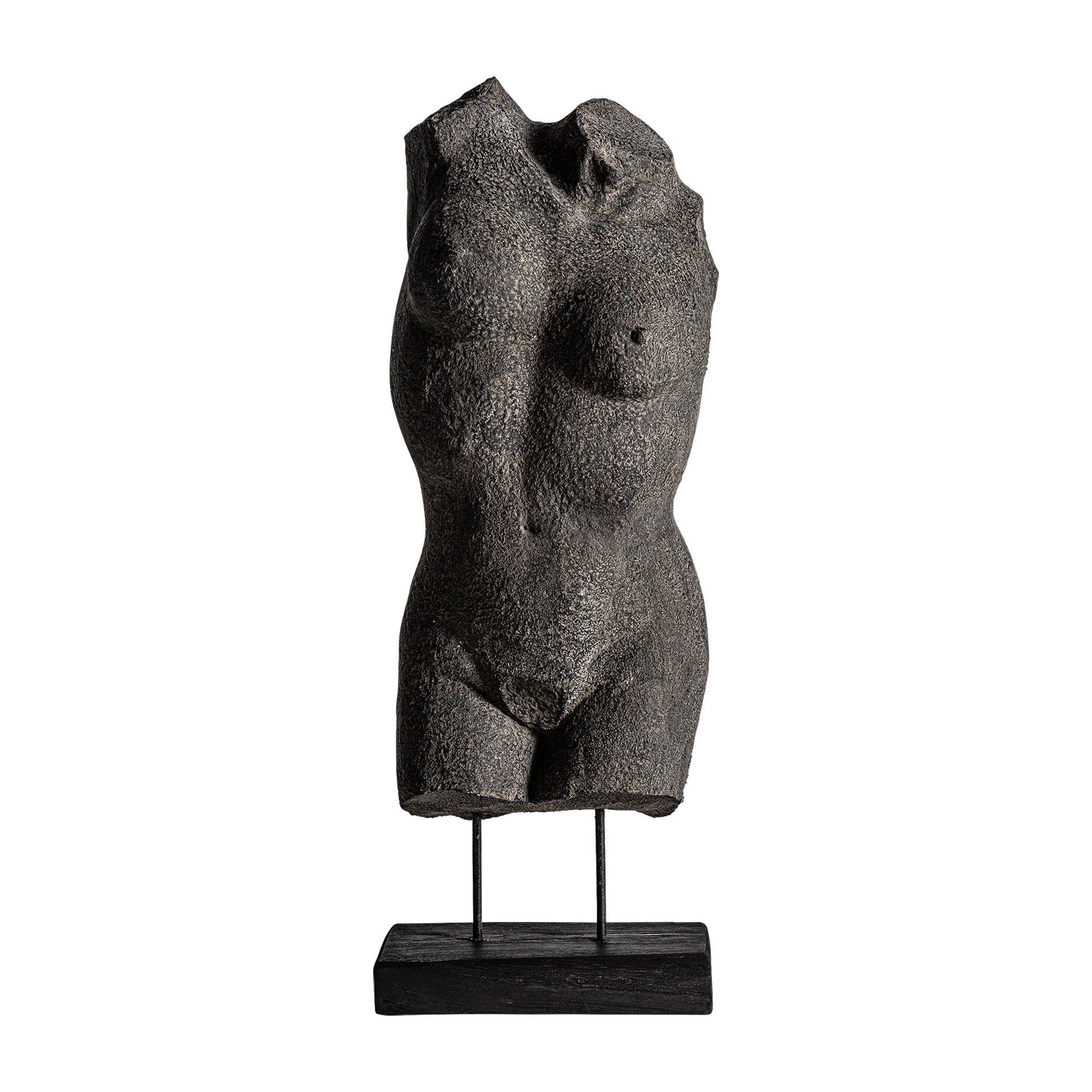 SKULPTA Decorative Bust
