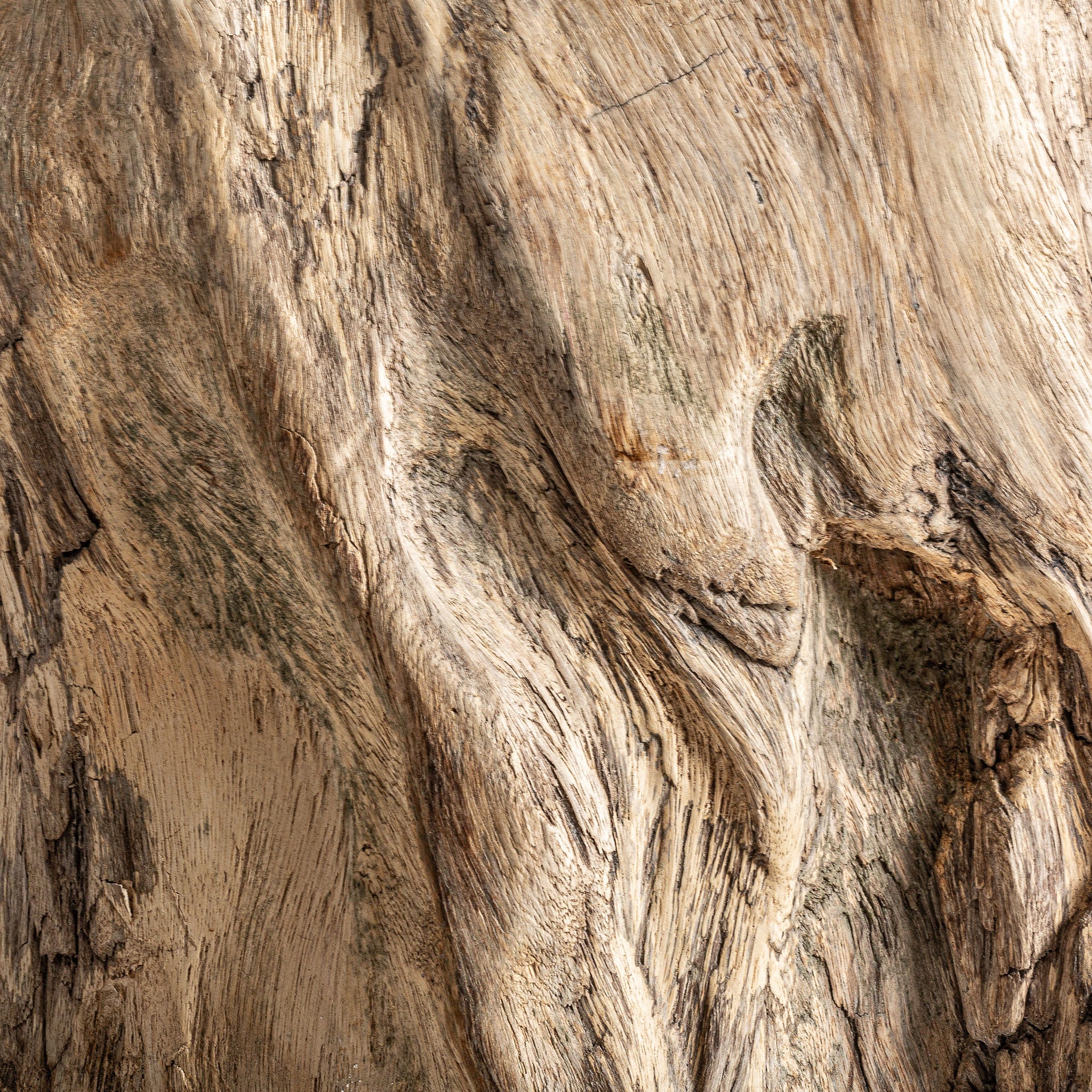 KHALED Suar Wood Coffee Table - Natural Brown Ethnic Design
