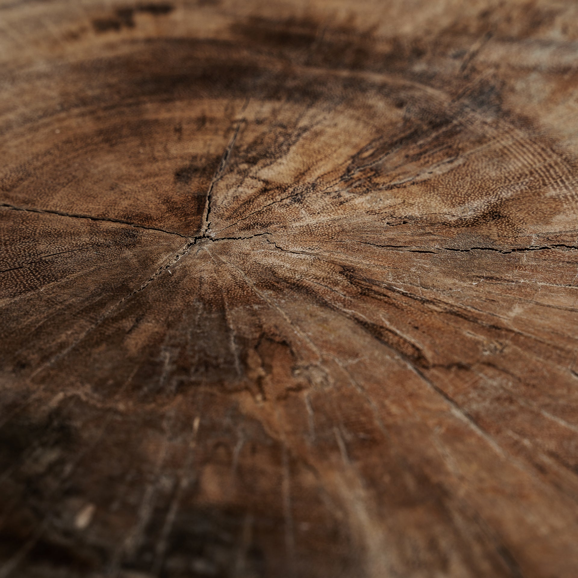 Doucen Coffee Table – Solid Suar Wood, Natural Ethnic Finish