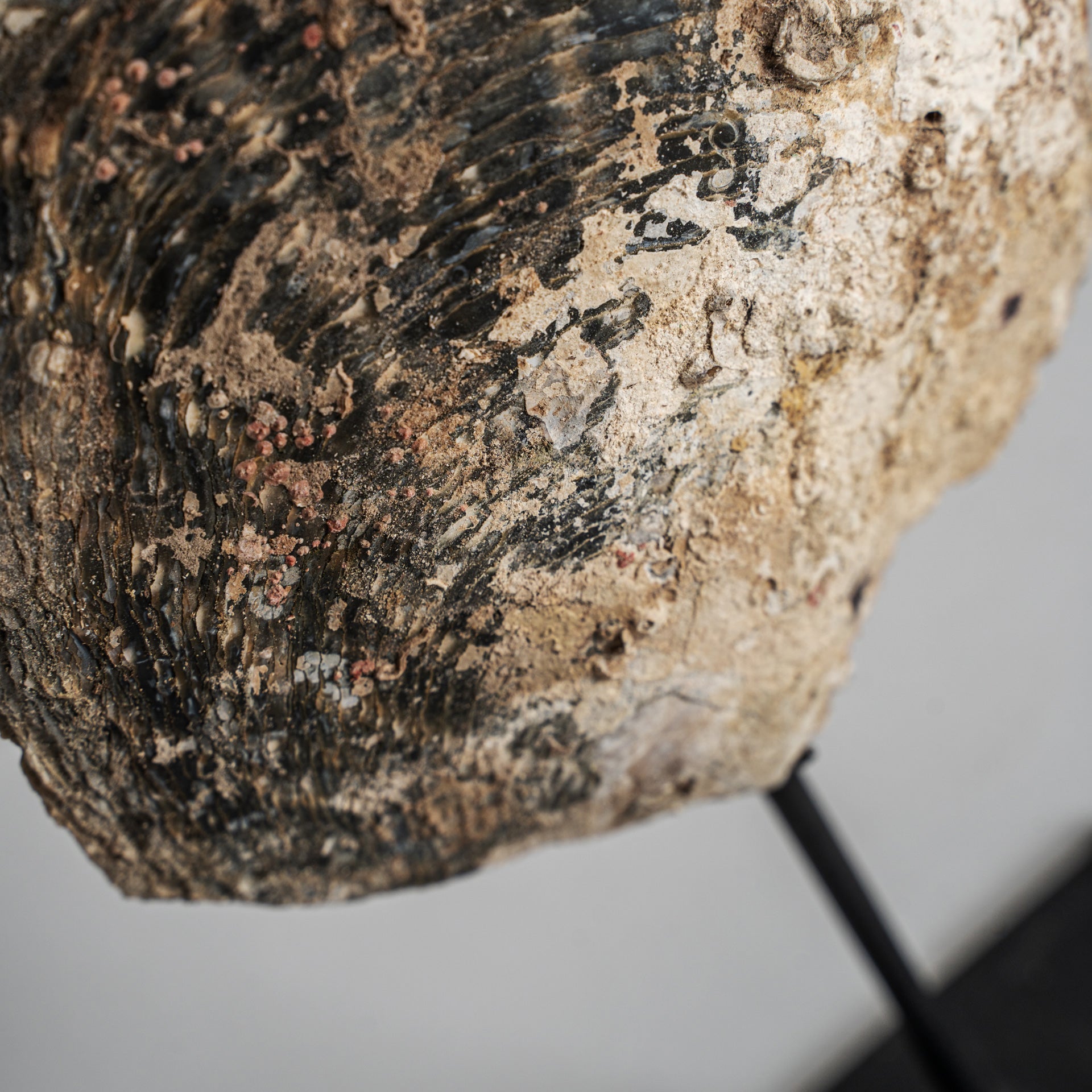Skulptur Skal Nordic Shell Figure
