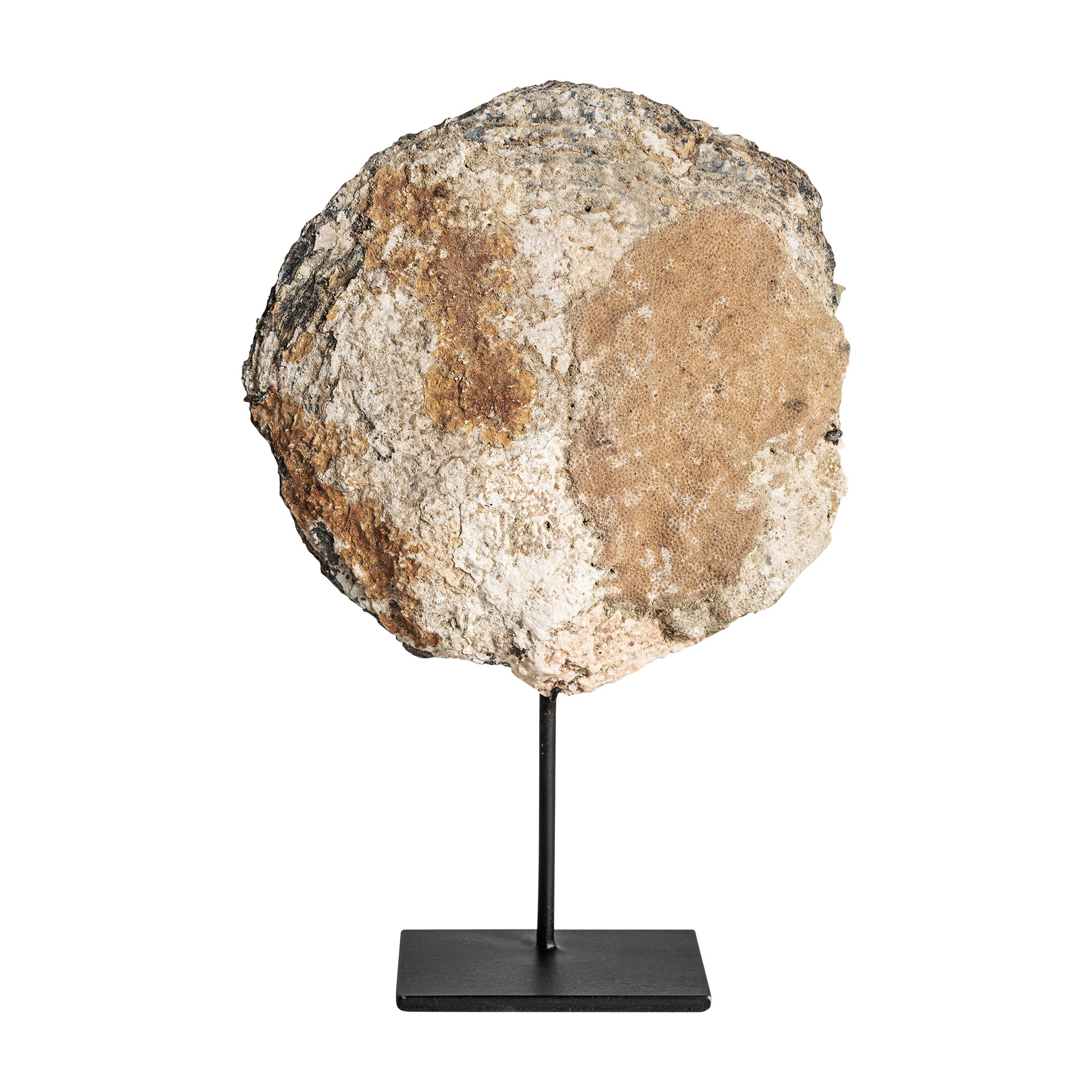 Skulptur Skal Nordic Shell Figure