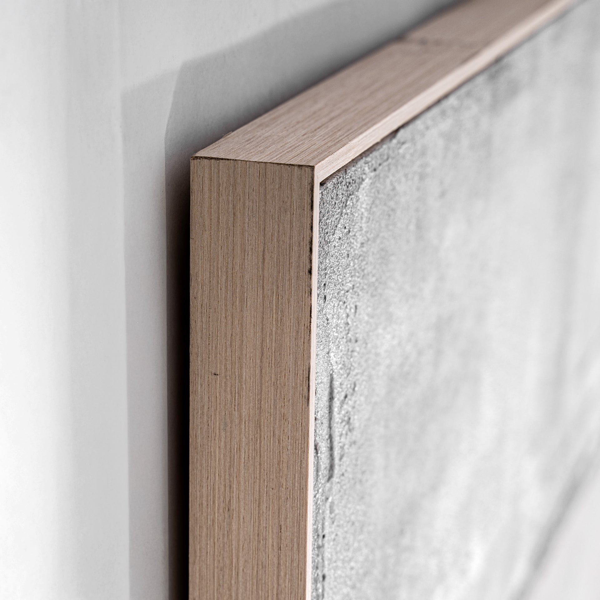 Radel Contemporary Canvas Wall Art - Natural Tones with Pine Wood Frame