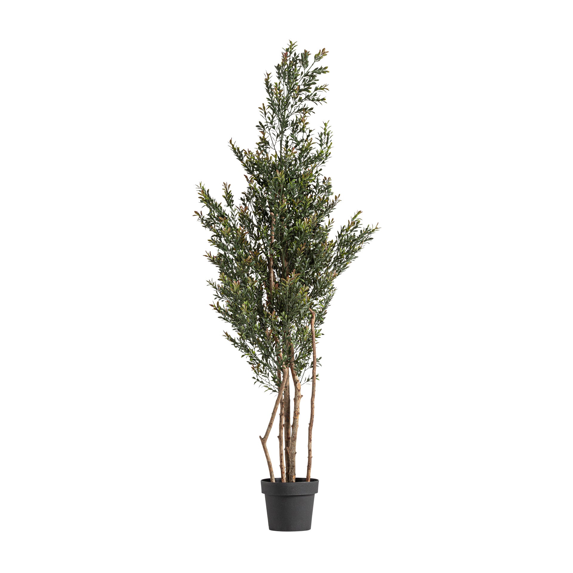Kvist Faux Topiary Plant in Green with Brown Wood Pot