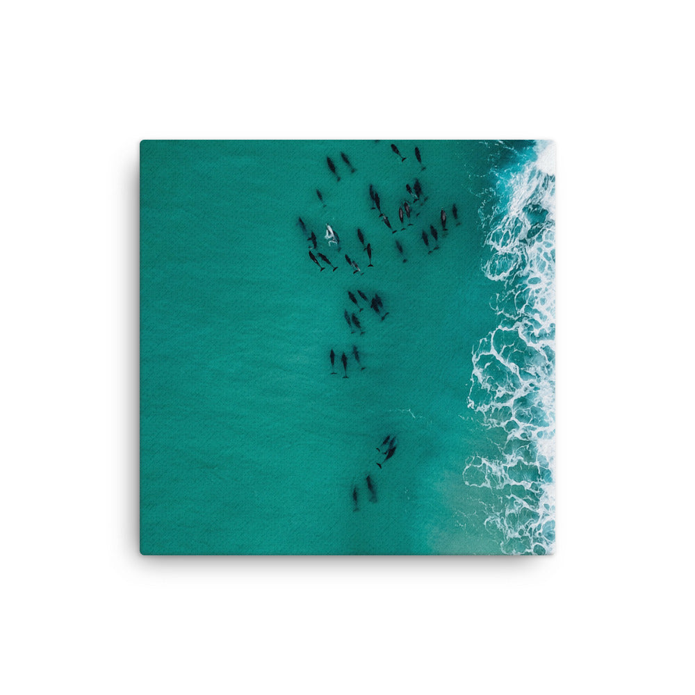 Migration Canvas