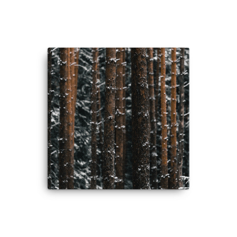 Finnish Winter Canvas