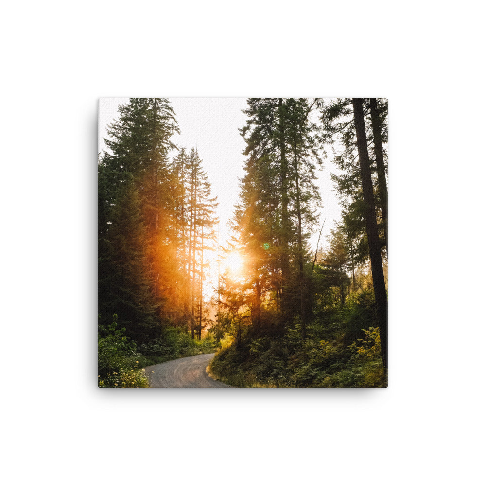 Summer Road Canvas