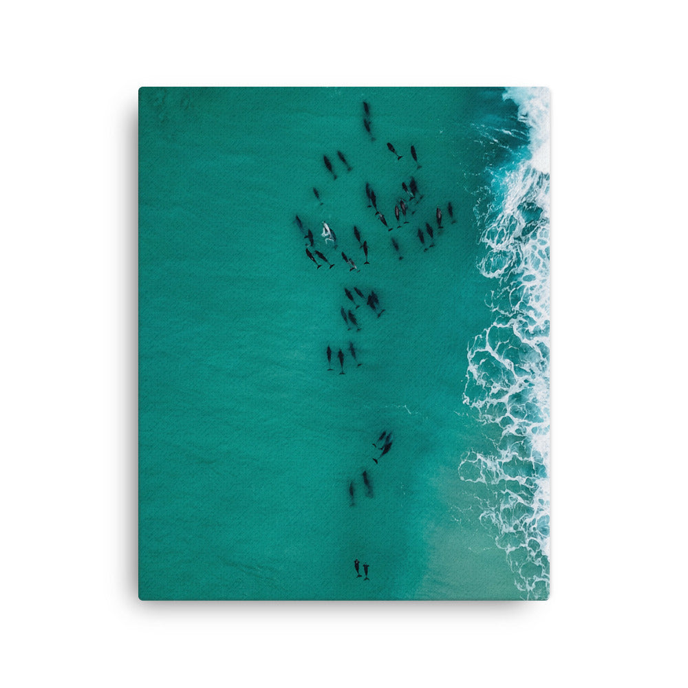 Migration Canvas