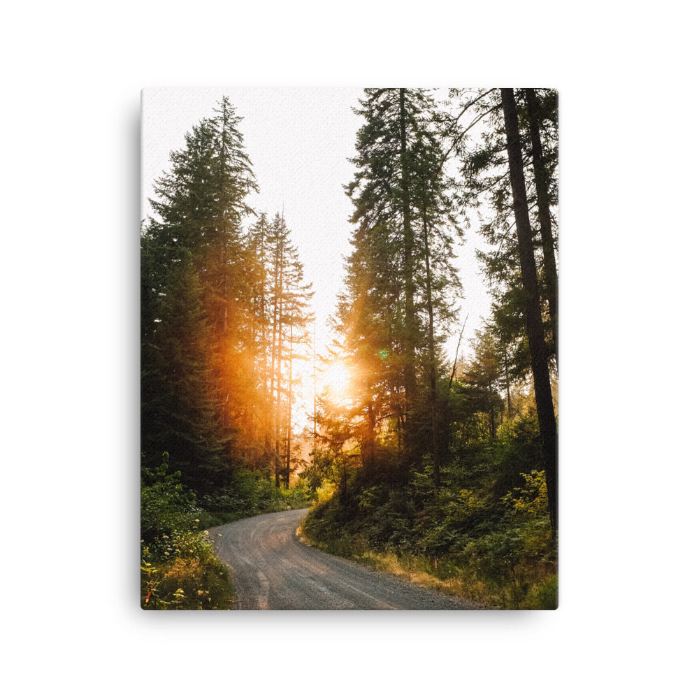 Summer Road Canvas