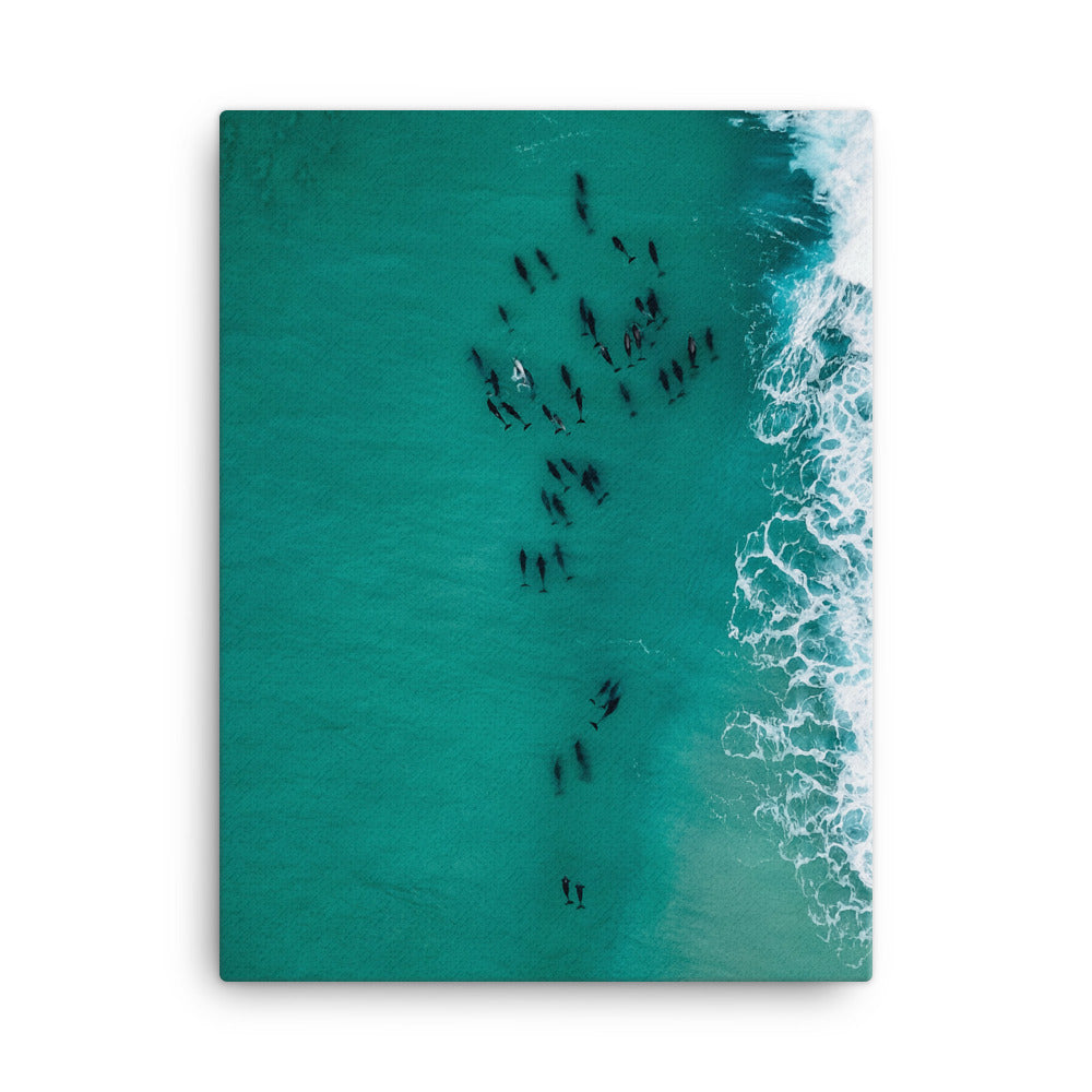 Migration Canvas