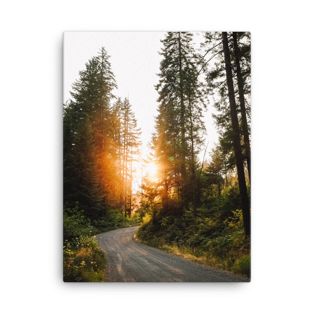 Summer Road Canvas