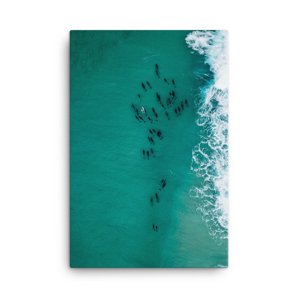 Migration Canvas